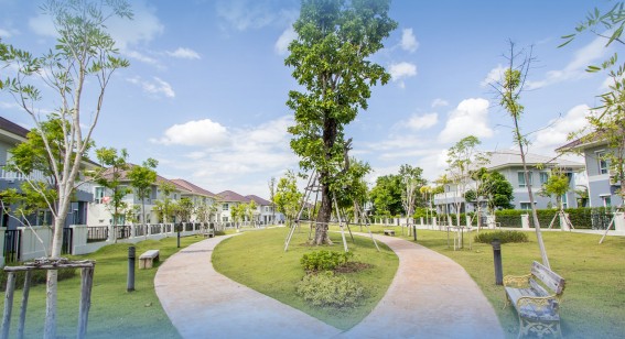 สวนสาธารณะและลู่วิ่งจ๊อกกิ้ง